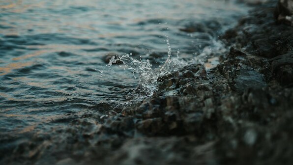 World Oceans Day 2021: Can we use bio-fouling organisms to extract energy from ocean waves?