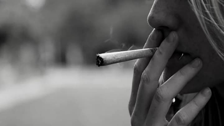 High-profile drug busts make for great headlines, but they won’t fix India’s growing drug problem
