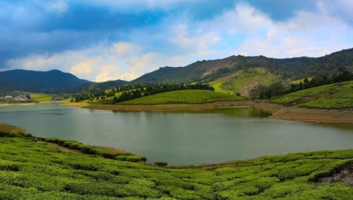 A new tiger reserve in Tamil Nadu brings hope of revival for the now-dry river Vaigai