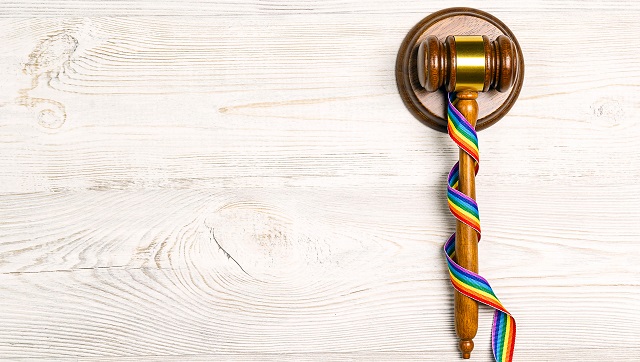 'Good day for our country': France adopts bill legalising IVF access for lesbian couples, single women 'Good day for our country': France adopts bill legalising IVF access for lesbian couples, single women