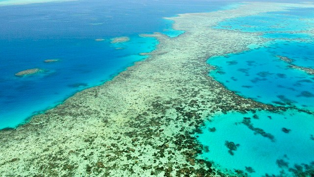 Australia vows to challenge UNESCO's plans to downgrade Great Barrier Reef's World Heritage status Australia vows to challenge UNESCO's plans to downgrade Great Barrier Reef's World Heritage status