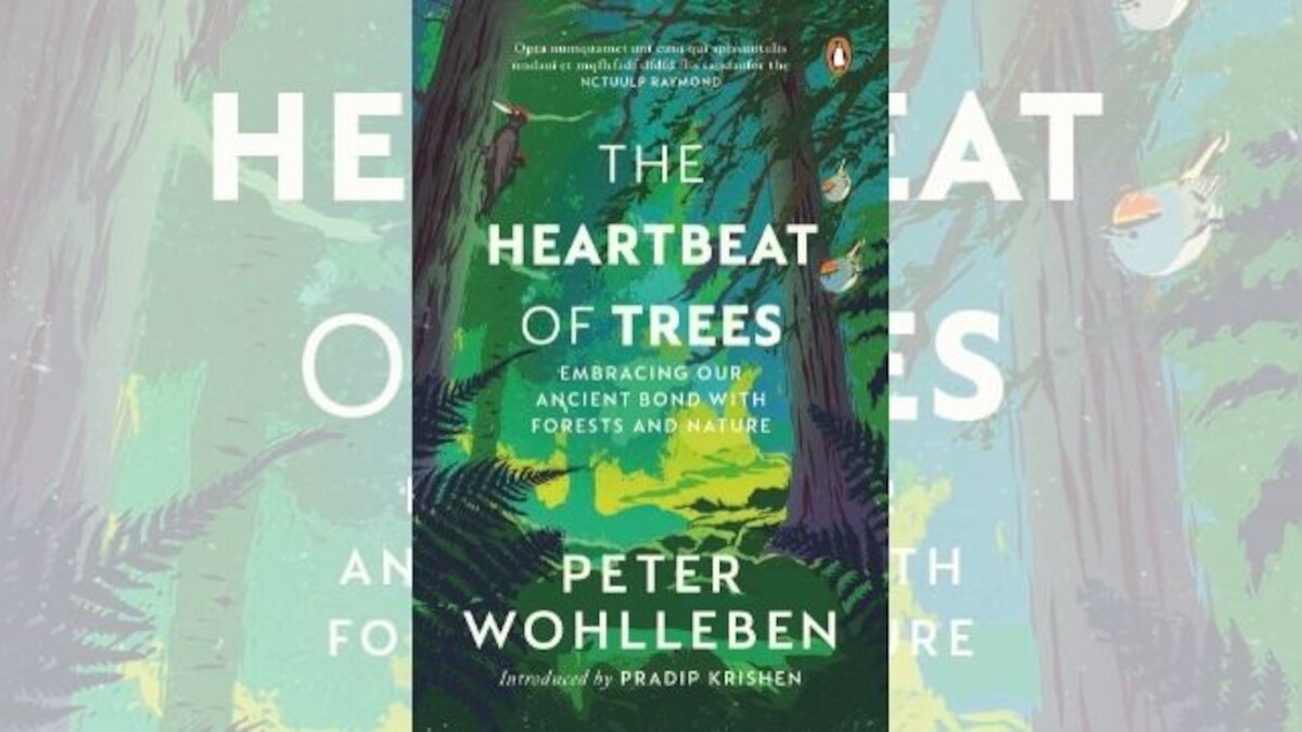 Book excerpt: In The Heartbeat of Trees, Peter Wohlleben explores communication between humans and trees