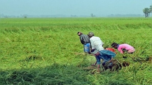 Uneven monsoon to be blamed for Lag in Kharif sowing but no reason to panic yet, say experts