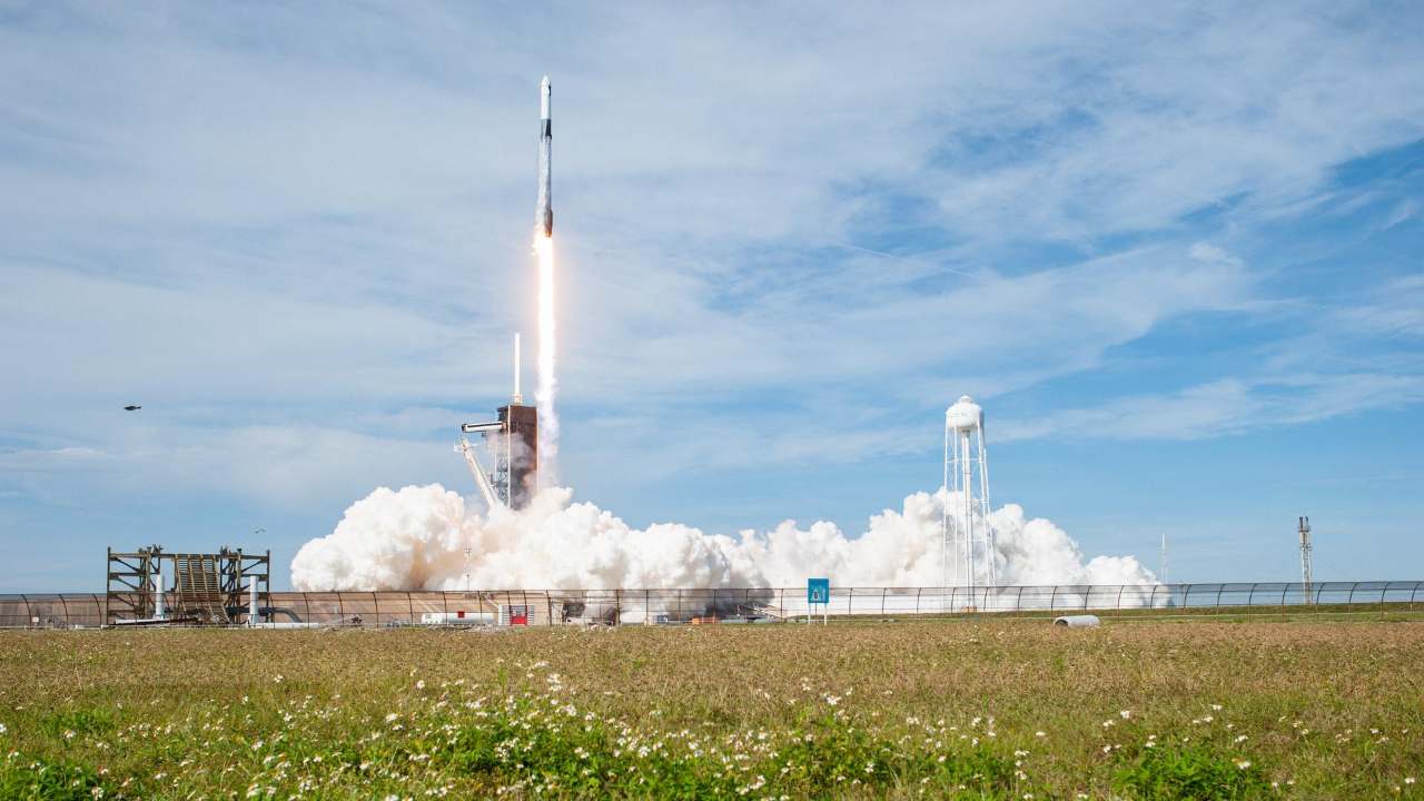 SpaceX's Cargo Dragon is carrying tardigrades and baby squid to the International Space Station SpaceX's Cargo Dragon is carrying tardigrades and baby squid to the International Space Station