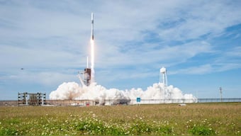 SpaceX's Cargo Dragon is carrying tardigrades and baby squid to the International Space Station