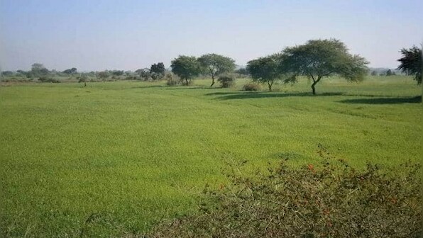 Centre to set up SPV for monetisation of surplus government land: All you need to know