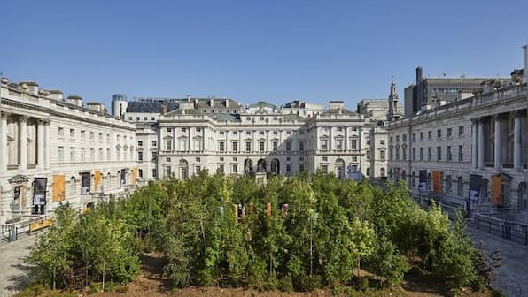 At London Design Biennale, a forest in a courtyard counters archaic Enlightenment principles