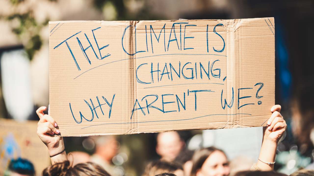 US, EU representatives urge countries to take a greener stand during South Korea's virtual climate summit US, EU representatives urge countries to take a greener stand during South Korea's virtual climate summit