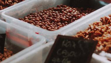 Seeds of nearly 5,000 plants stocked in South Korea's mountains as plant extinction threatens food security