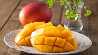 Pakistan's prized mango harvest hit by water scarcity, production falls by 40%