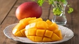 National Mango Day 2022: History, significance, quotes and interesting facts