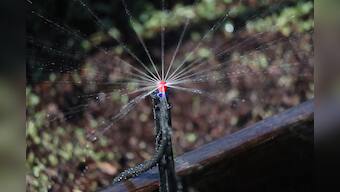 Best water saving sprinklers