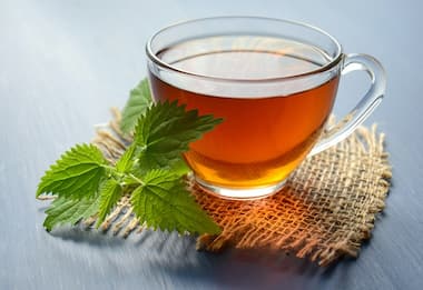International Tea Day 2022: History, significance and quotes; all you need to know