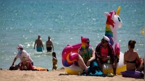 International Picnic Day 2022: History, significance and all you need to know