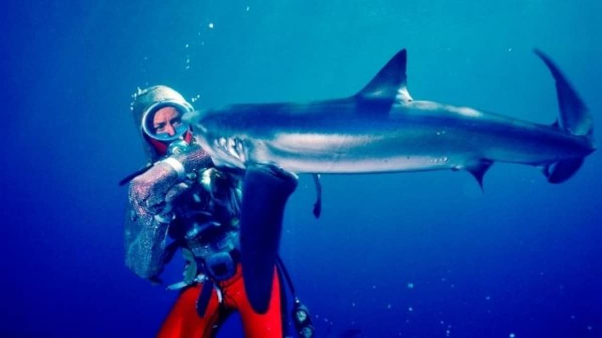 Playing with Sharks: New documentary throws light on noted ocean explorer Valerie Taylor's encounters with the sea creatures