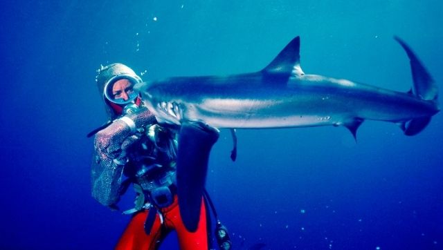 Playing with Sharks: New documentary throws light on noted ocean explorer Valerie Taylor's encounters with the sea creatures Playing with Sharks: New documentary throws light on noted ocean explorer Valerie Taylor's encounters with the sea creatures