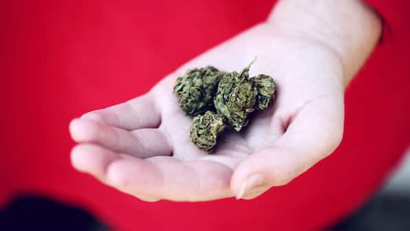 275 mn people used drugs, 36 mn affected by drug abuse worldwide in 2020: UN