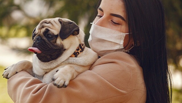 On pandemic pets as a 'furry annuity' for the next decade: What trend means for pet-care industry