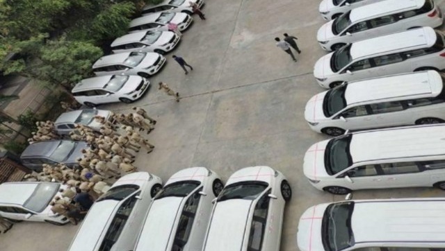 Telangana govt buys 32 luxury SUVs for IAS officers, faces backlash from Oppn for 'criminal splurge' amid COVID crisis Telangana govt buys 32 luxury SUVs for IAS officers, faces backlash from Oppn for 'criminal splurge' amid COVID crisis