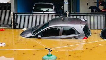 Rising sea levels serious threat to Asian cities, may put 15 mn people at risk by 2030: Greenpeace report