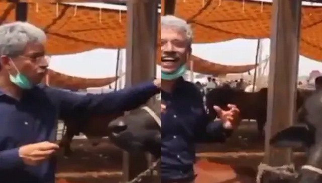 Watch: Pakistan journalist Amin 'interviews' buffalo on Eid-ul-Adha, video goes viral Watch: Pakistan journalist Amin 'interviews' buffalo on Eid-ul-Adha, video goes viral