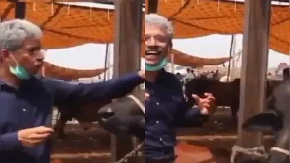 Watch: Pakistan journalist Amin 'interviews' buffalo on Eid-ul-Adha, video goes viral