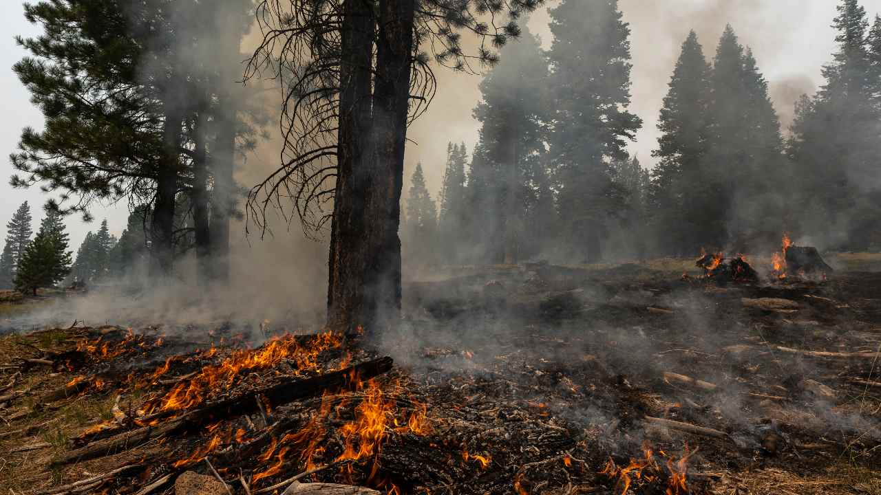 A round-up of the world's worst climate change events in 2021 A round-up of the world's worst climate change events in 2021