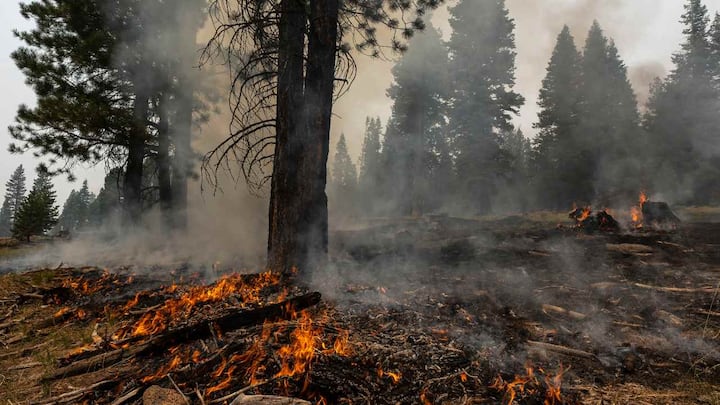A round-up of the world's worst climate change events in 2021