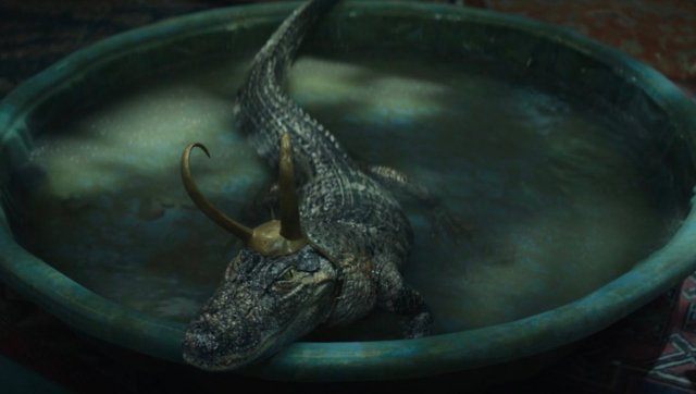 Florida: 10-foot-long alligator spotted crawling through front yard on Easter; watch Florida: 10-foot-long alligator spotted crawling through front yard on Easter; watch