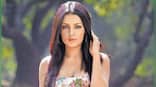 Celina Jaitley's spokesperson says actress was approached to join Shilpa Shetty's app, not Raj Kundra's Hotshots