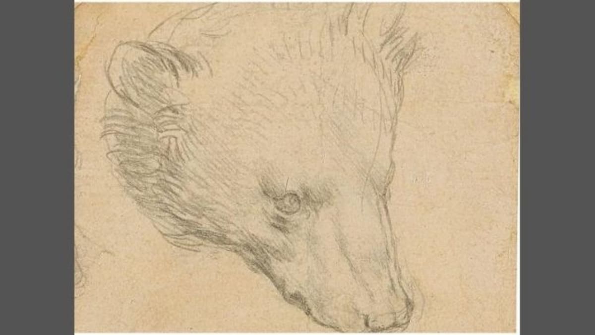 Da Vinci's stamp-sized sketch of a head of a bear sells for an exceptional US $12.2 mn at Christie's auction