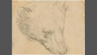 Da Vinci's stamp-sized sketch of a head of a bear sells for an exceptional US $12.2 mn at Christie's auction