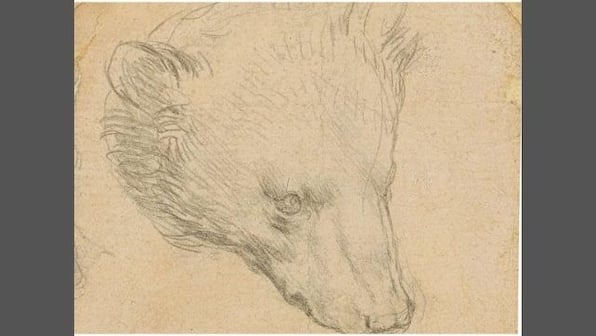 Da Vinci's stamp-sized sketch of a head of a bear sells for an exceptional US $12.2 mn at Christie's auction