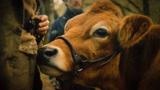 Evie in First Cow