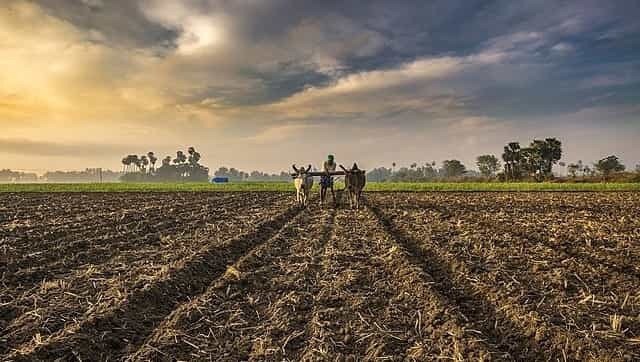 La pénétration des smartphones donne aux agriculteurs une touche de technologie