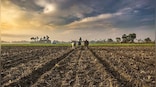 Smartphone penetration empowers farmers with a splash of technology