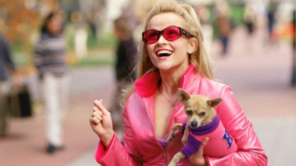 Legally Blonde, 20 years on: Reese Witherspoon's co-stars, screenwriter discuss iconic 'snap and bend', film's legacy