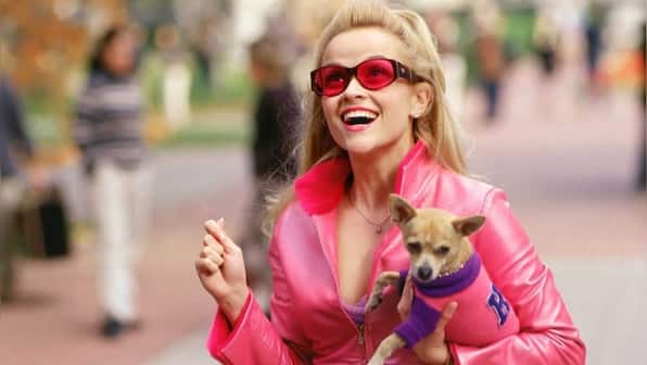 Legally Blonde, 20 years on: Reese Witherspoon's co-stars, screenwriter discuss iconic 'snap and bend', film's legacy