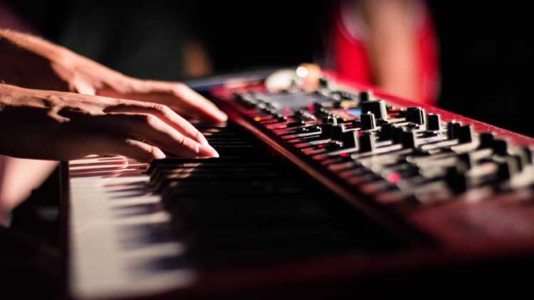 Portable electronic keyboards to enjoy music anywhere. Portable electronic keyboards to enjoy music anywhere.