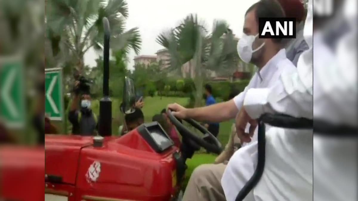 Watch: Congress leader Rahul Gandhi drives tractor to Parliament to protest against farm laws