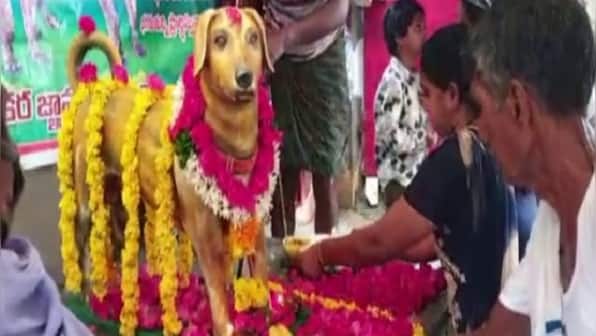 Andhra Pradesh man builds bronze statue of pet dog on its fifth death anniversary