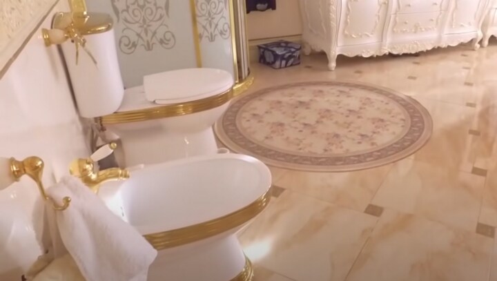 Watch: Golden toilet, kitchen found in Russian police officer's mansion during corruption probe