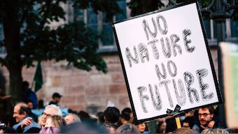 Montreal Protocol saved the ozone layer while unintentionally preventing climate change