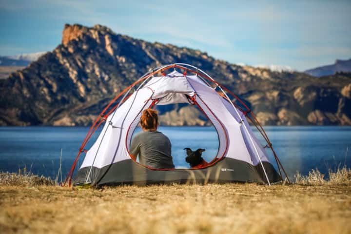 Economical tents for camping