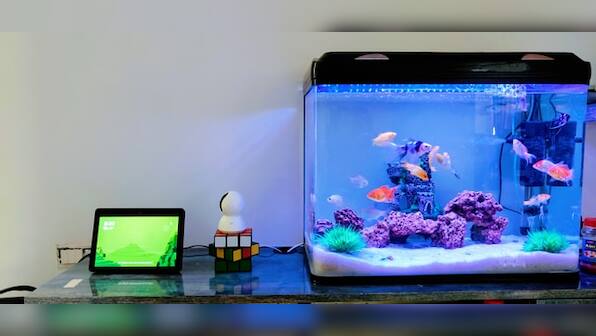 Aquarium tanks for small fishes