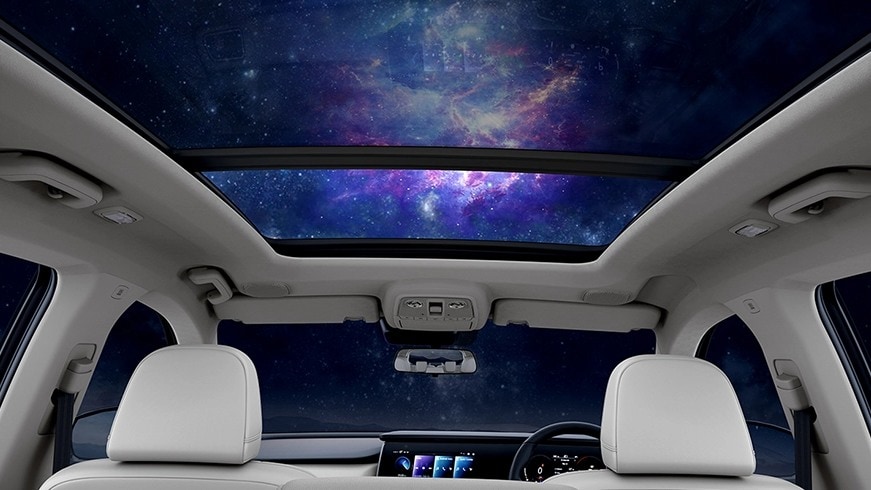 Xuv Interior Roof xuv-interior-roof