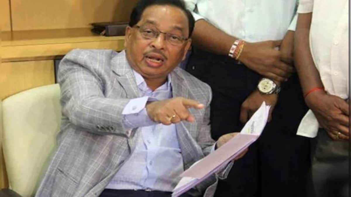 Narayan Rane's arrest over "slap Thackeray" remark justified, says Mahad court