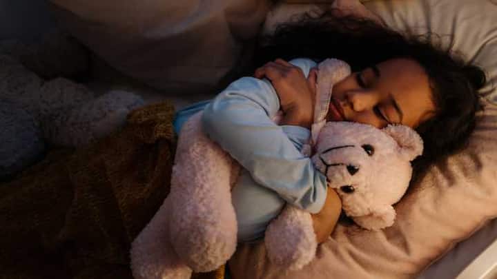 Stuffed toys, straight out of the fantasy world