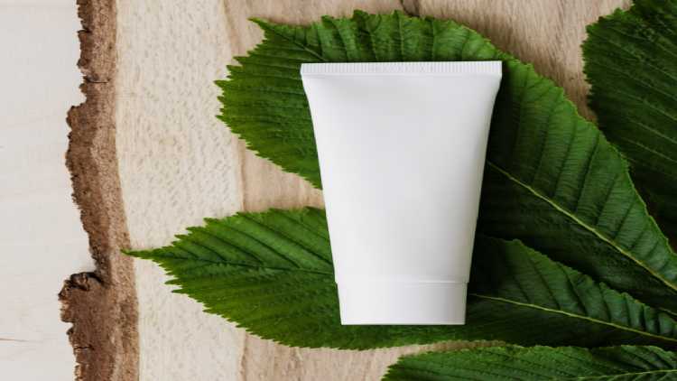 Stay fresh with these top deodorant creams for women Stay fresh with these top deodorant creams for women