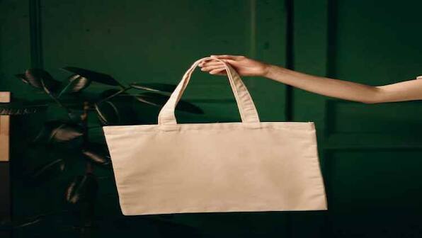 Top insulated tiffin bags for school and office